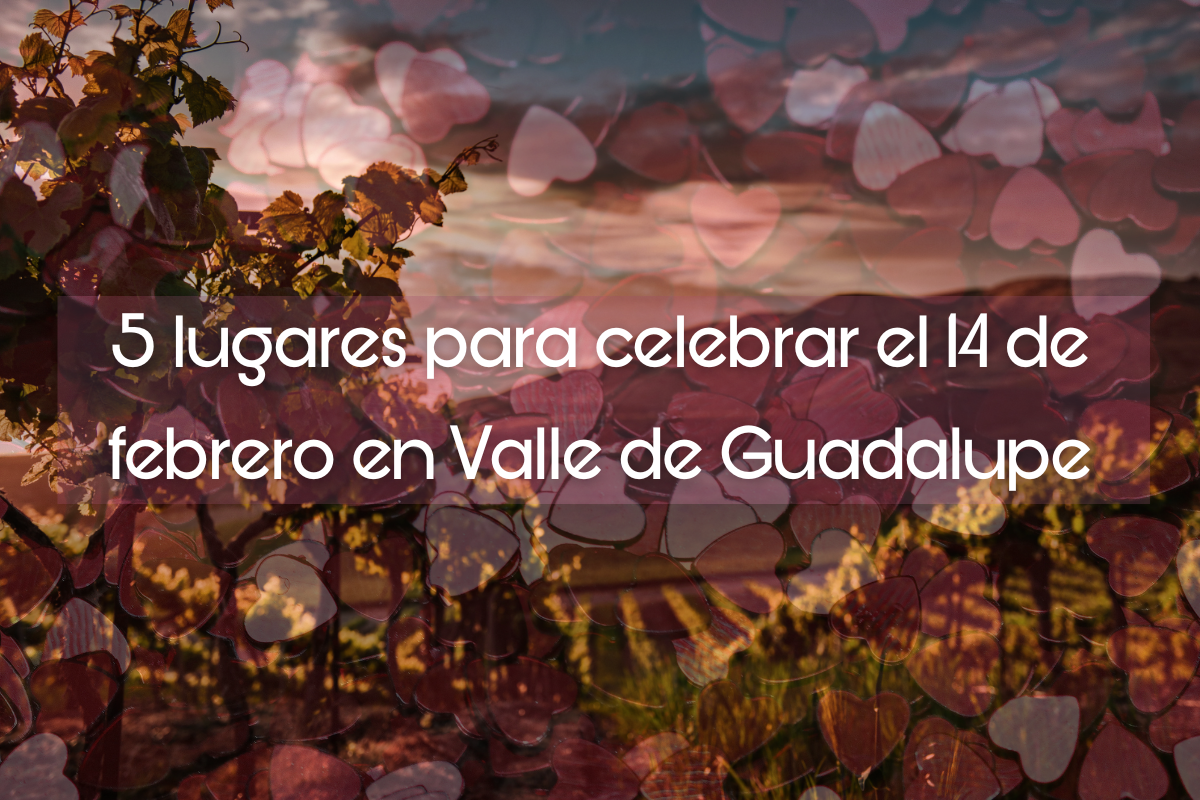 5 lugares para celebrar el 14 de febrero en el Valle de Guadalupe